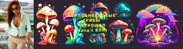 ешки Михайловск