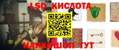 спиды Можга
